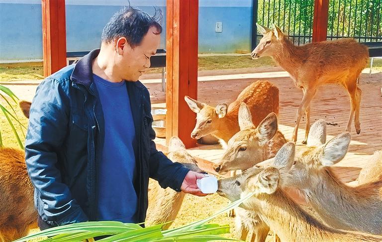 发展产业调研】林下生金冰球突破平台【高质